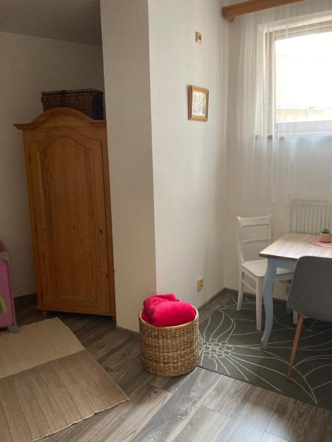 Apartament Penzion Hradecky Dvur Pilzno Zewnętrze zdjęcie