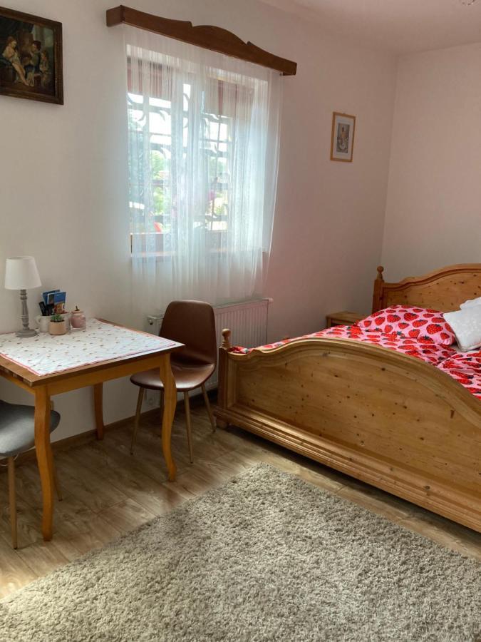 Apartament Penzion Hradecky Dvur Pilzno Zewnętrze zdjęcie